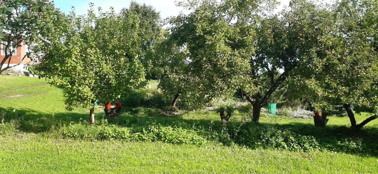 Agroturystyka Nad Czarnym Giby Dış mekan fotoğraf