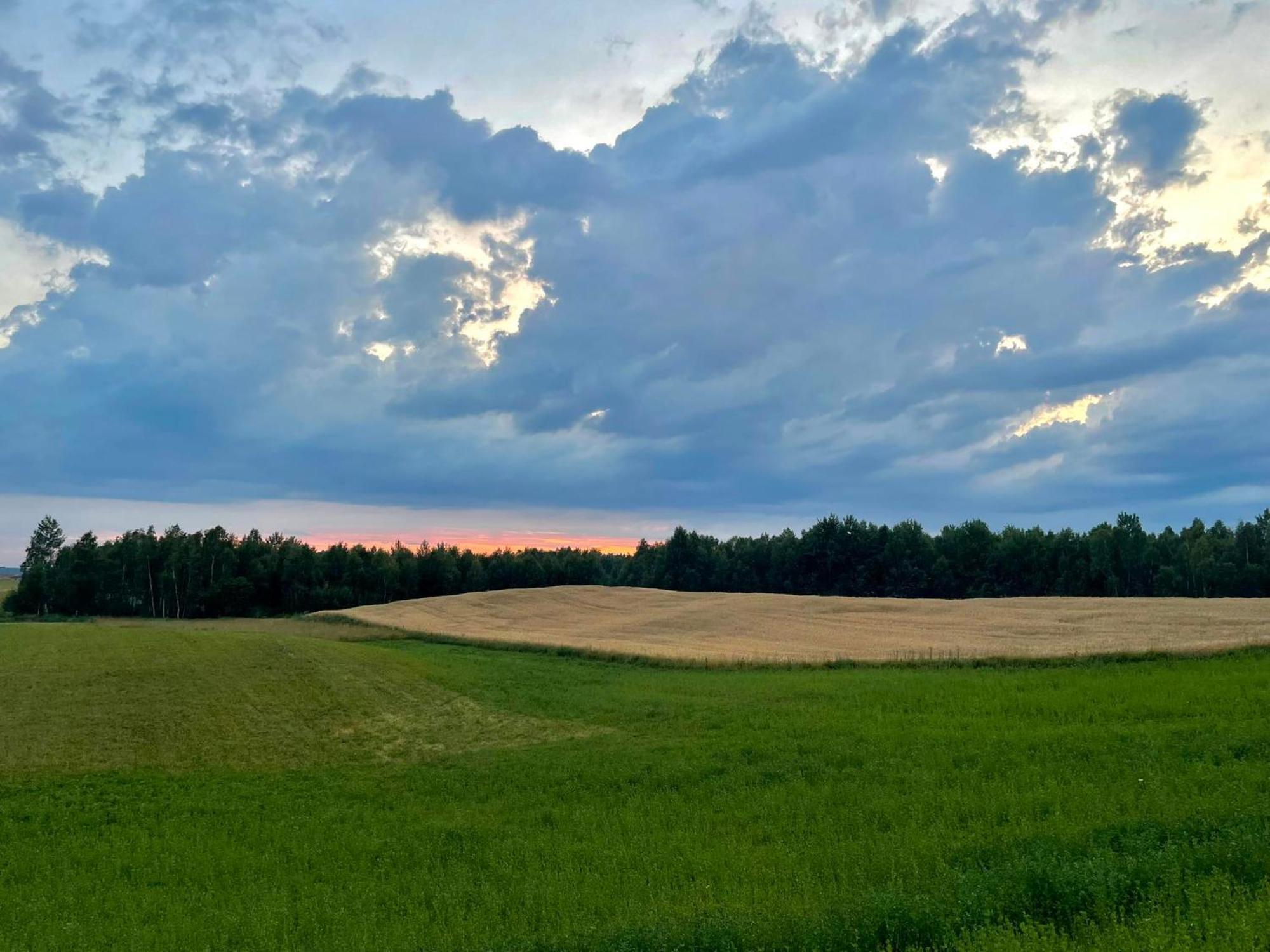 Agroturystyka Nad Czarnym Giby Dış mekan fotoğraf