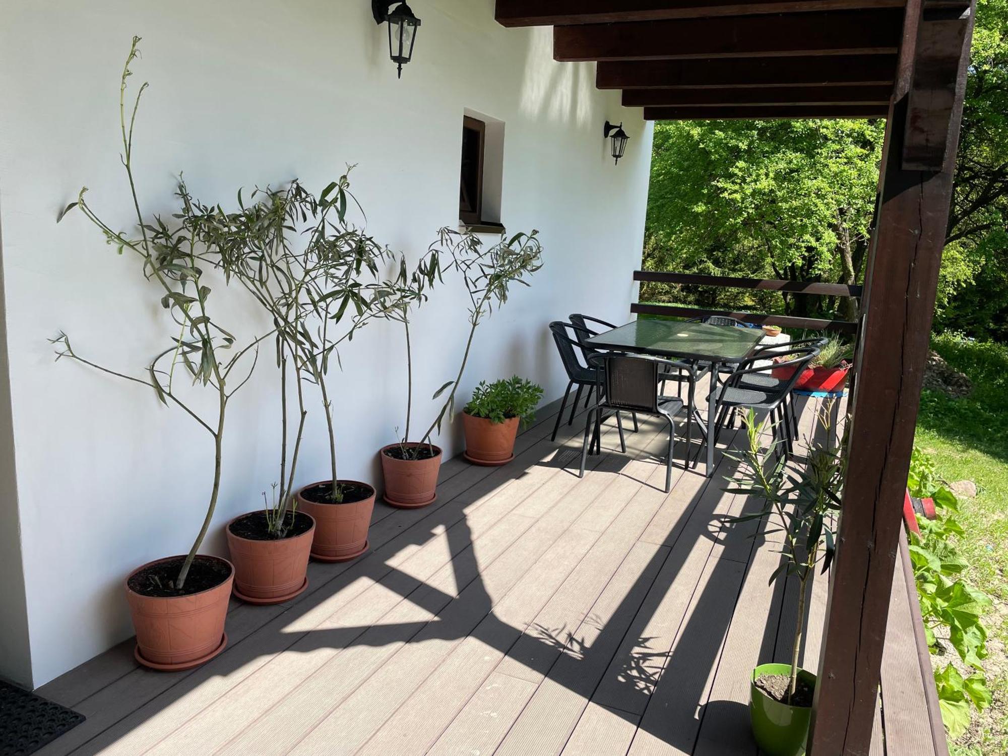 Agroturystyka Nad Czarnym Giby Dış mekan fotoğraf